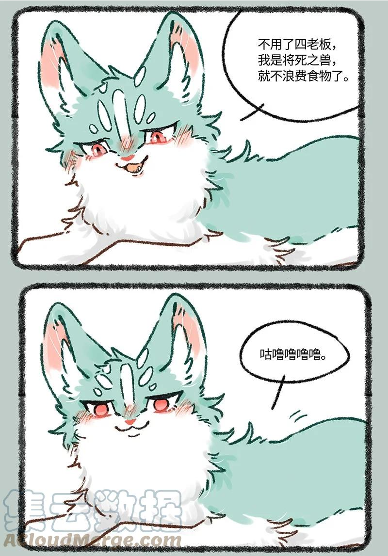 607 投喂猫猫类4