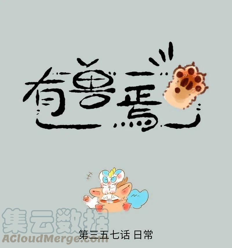 357 聚宝盆0