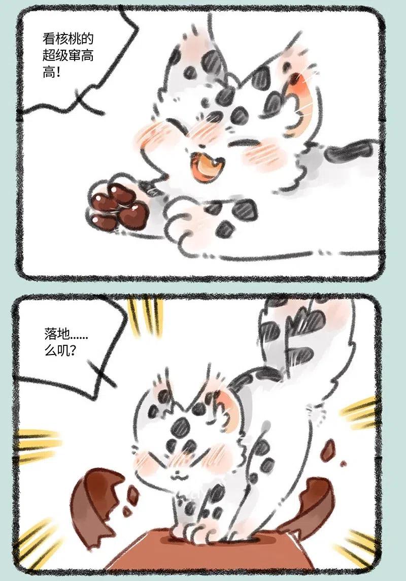 358 伪造0