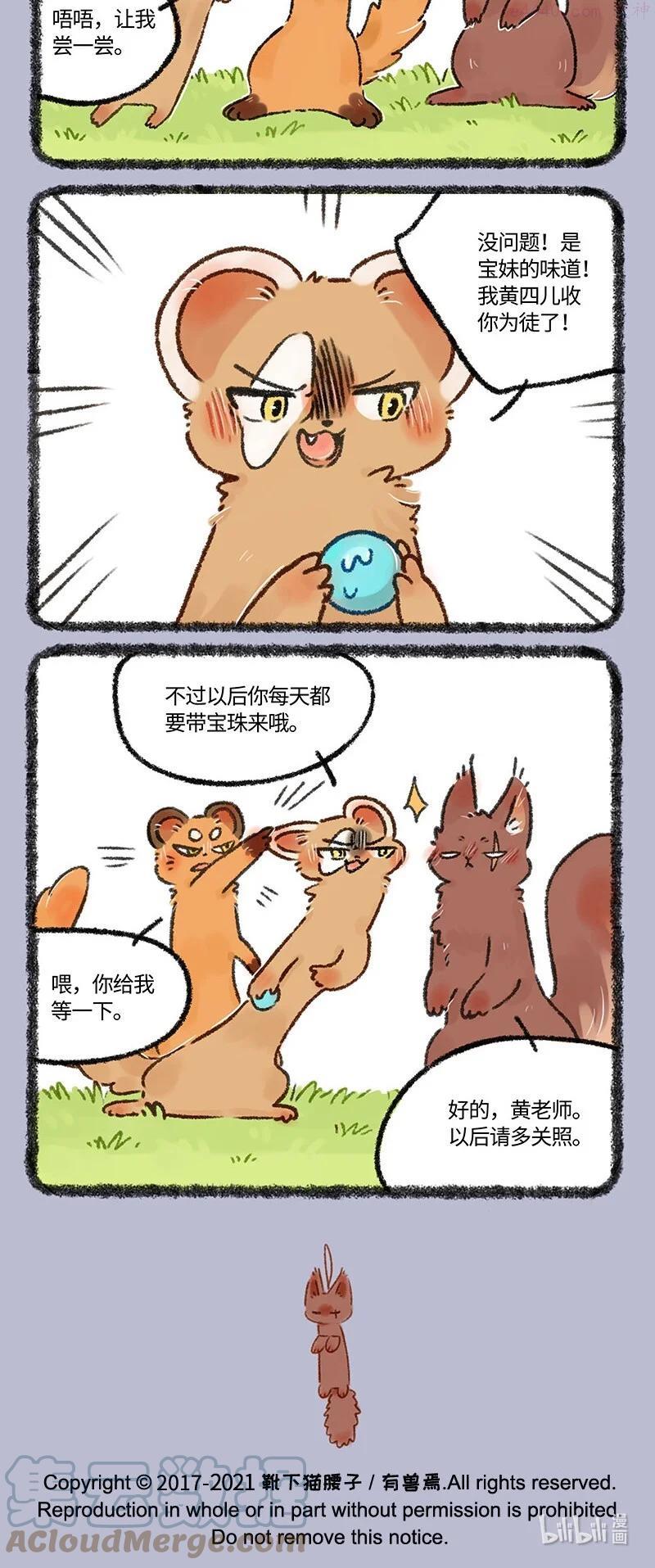 555 松鼠大哥拜师记3