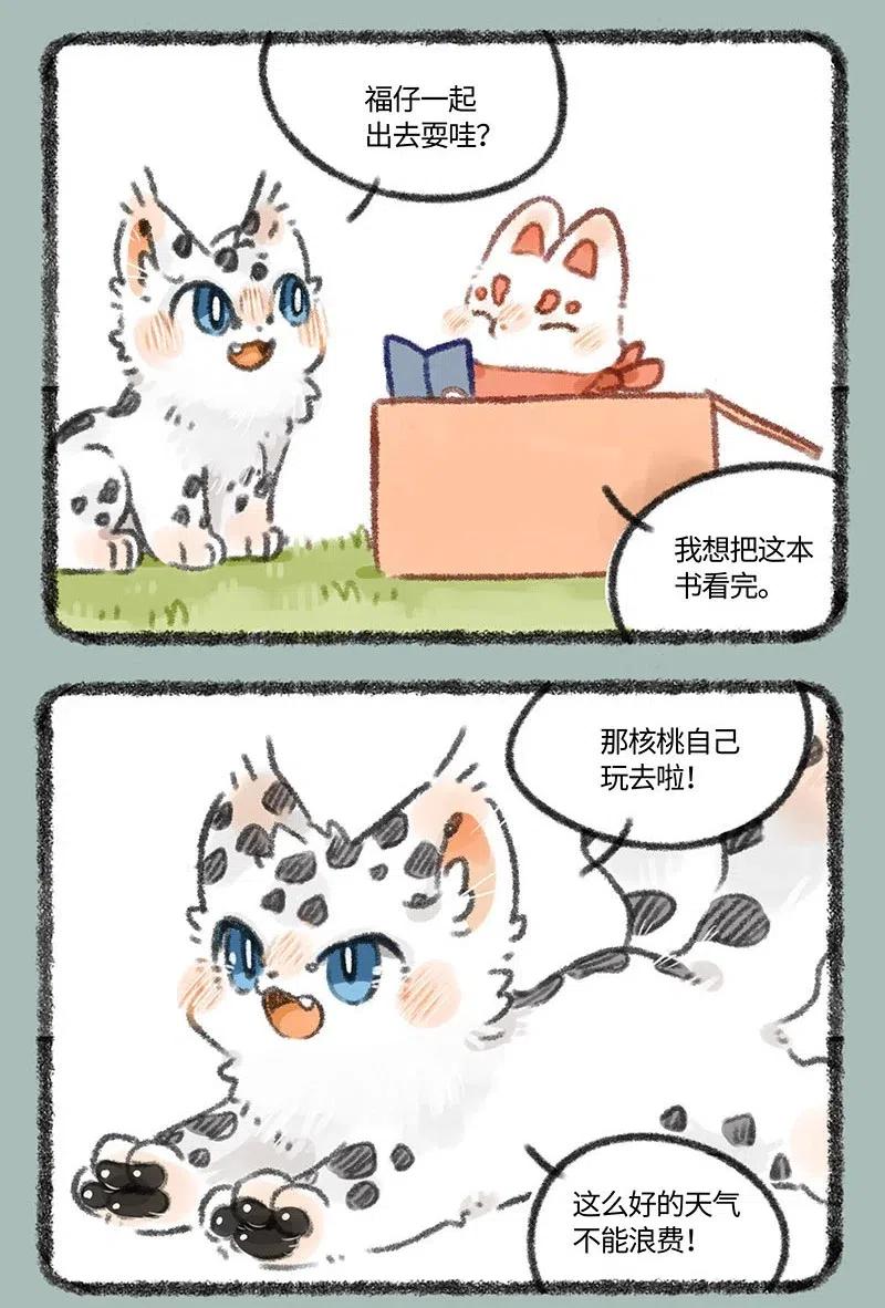 336 阴晴不定2