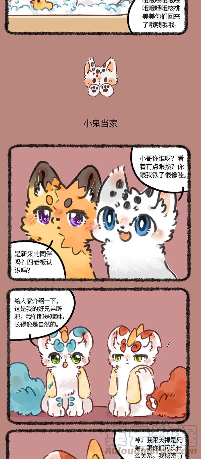 696 兄弟拆家2