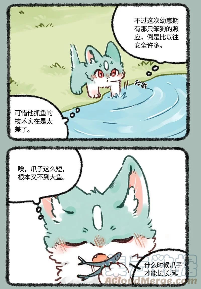 633 猫猫有爪初长成4