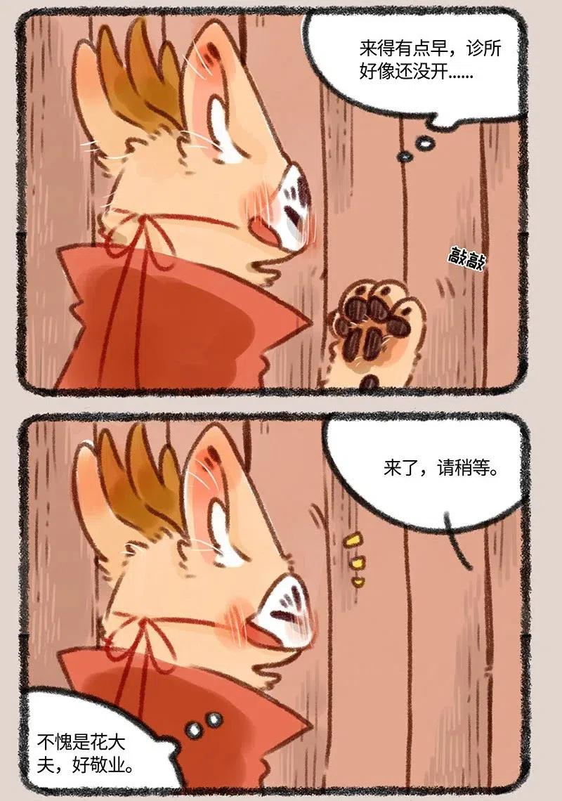 334 花大夫的设定1