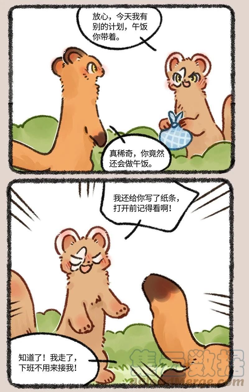 629 亲兄弟明算账1
