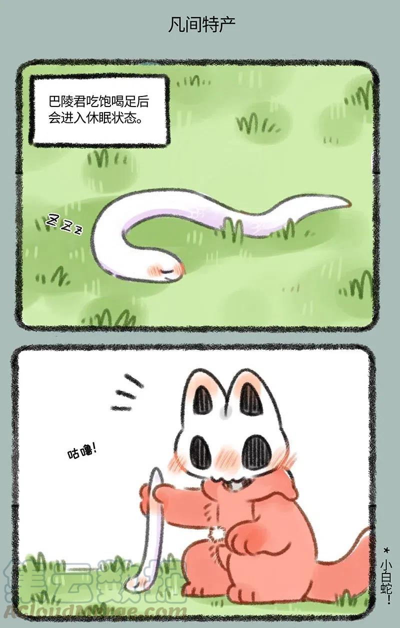 328 凡间考察4