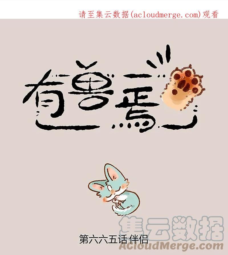 665 再见了，猫猫泪九世0