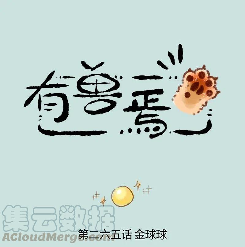 265 红色的皮皮0