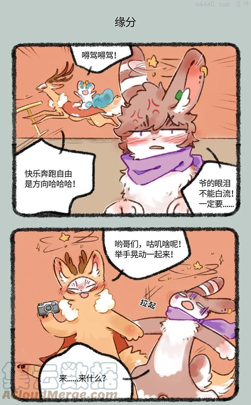 515 有缘千里来相会3