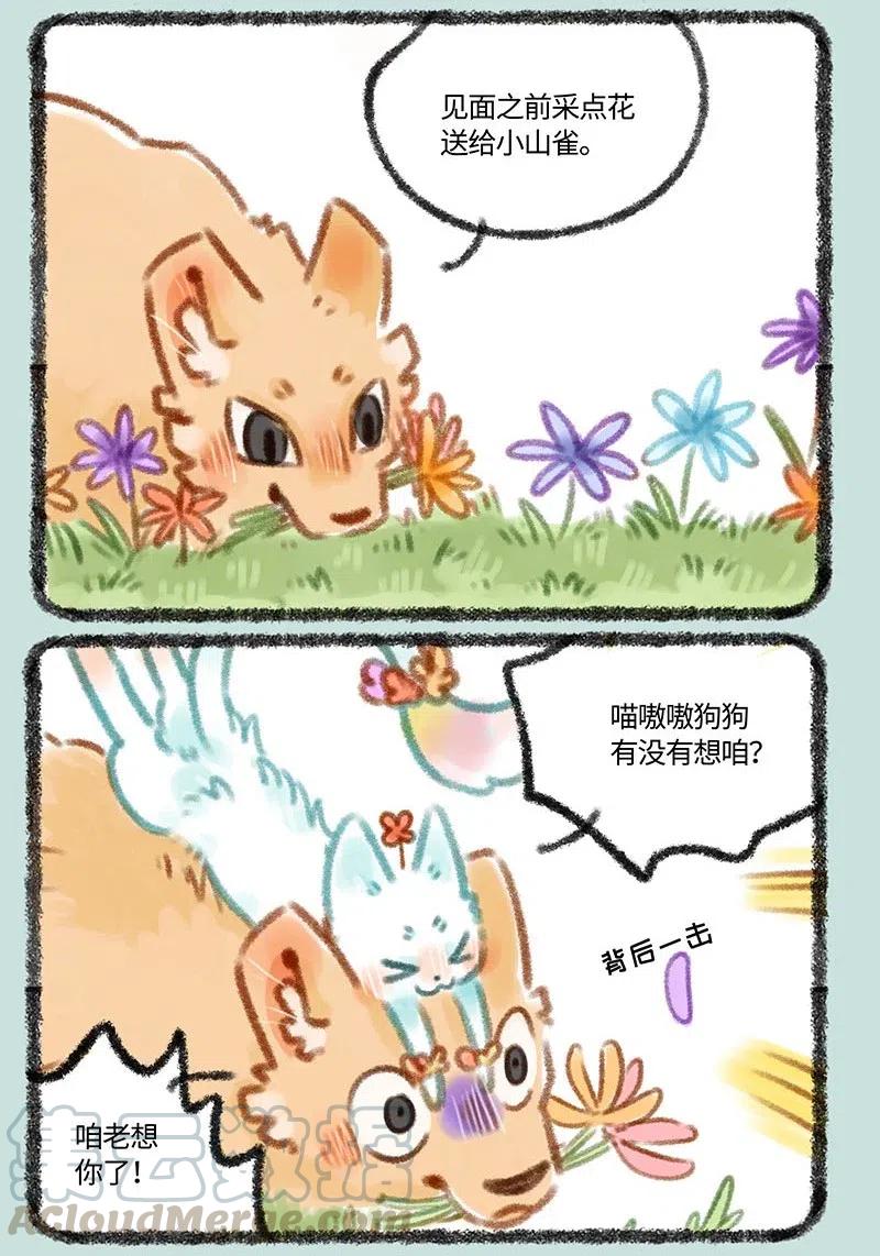 289 刍狗与小山雀2
