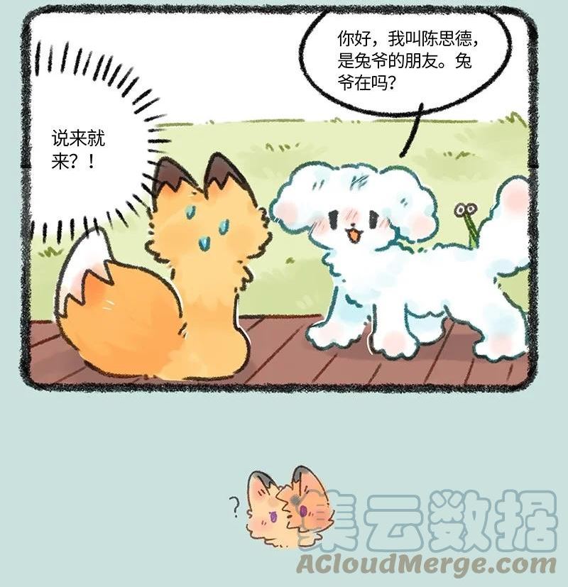 663 兔爷的贵狗3