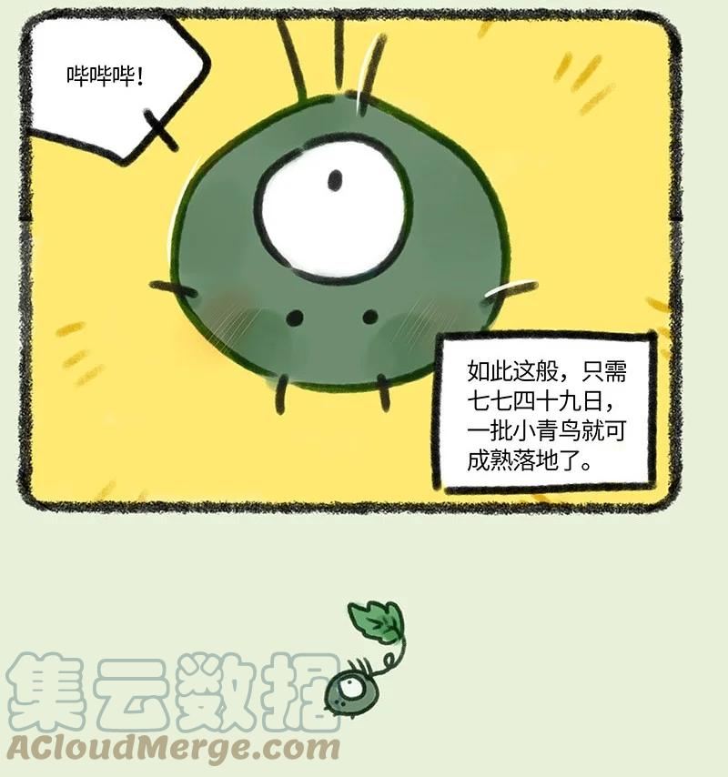 694 青鸟传3