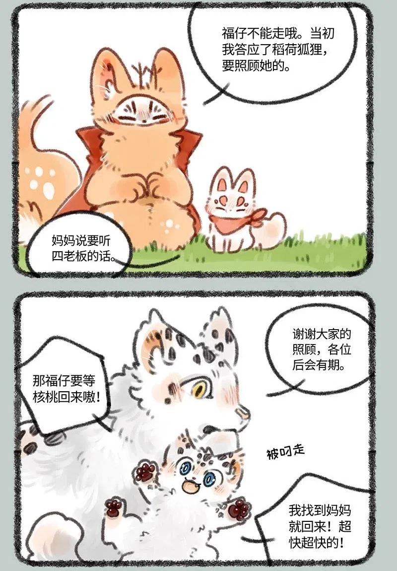 387 核桃要走了4