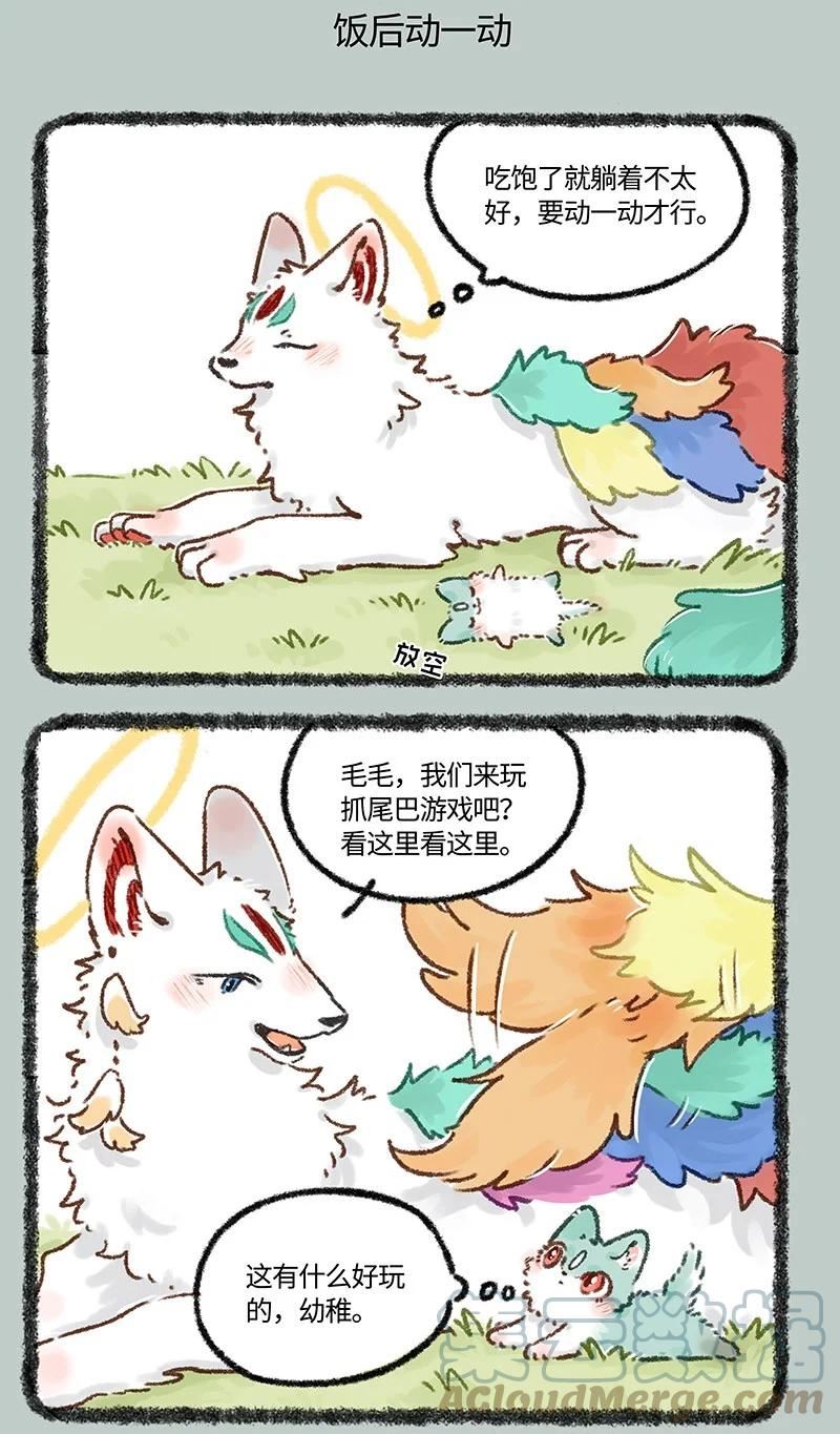 626 毛毛的成长日记4