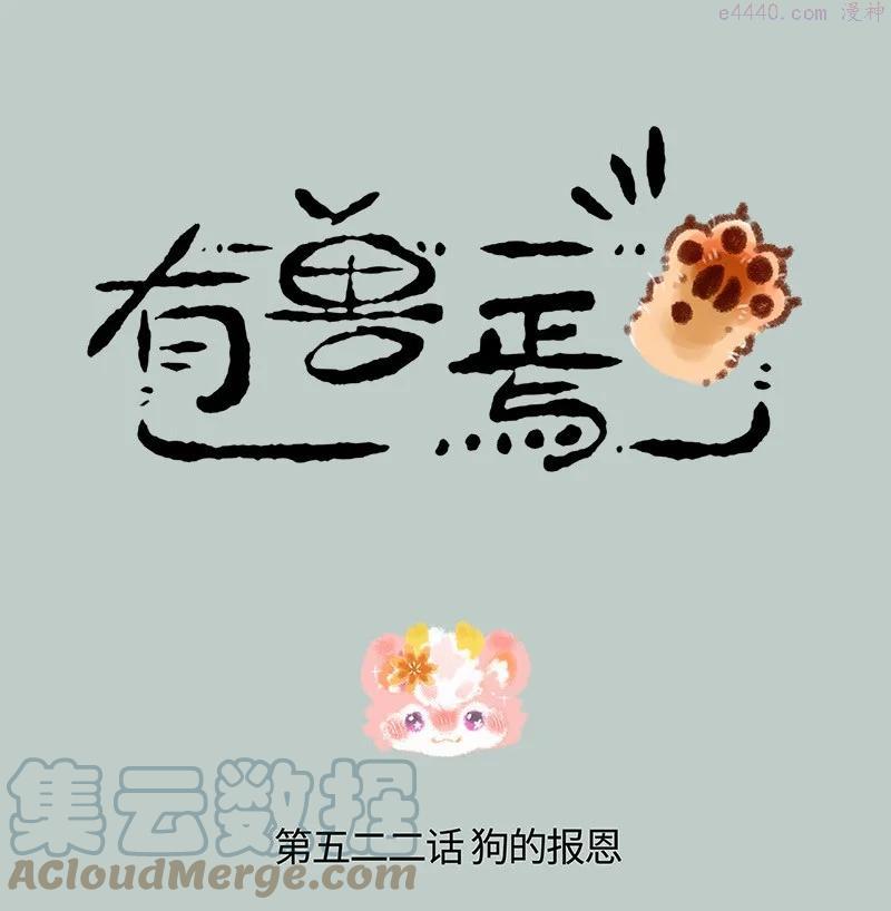 522 壮壮的心意0