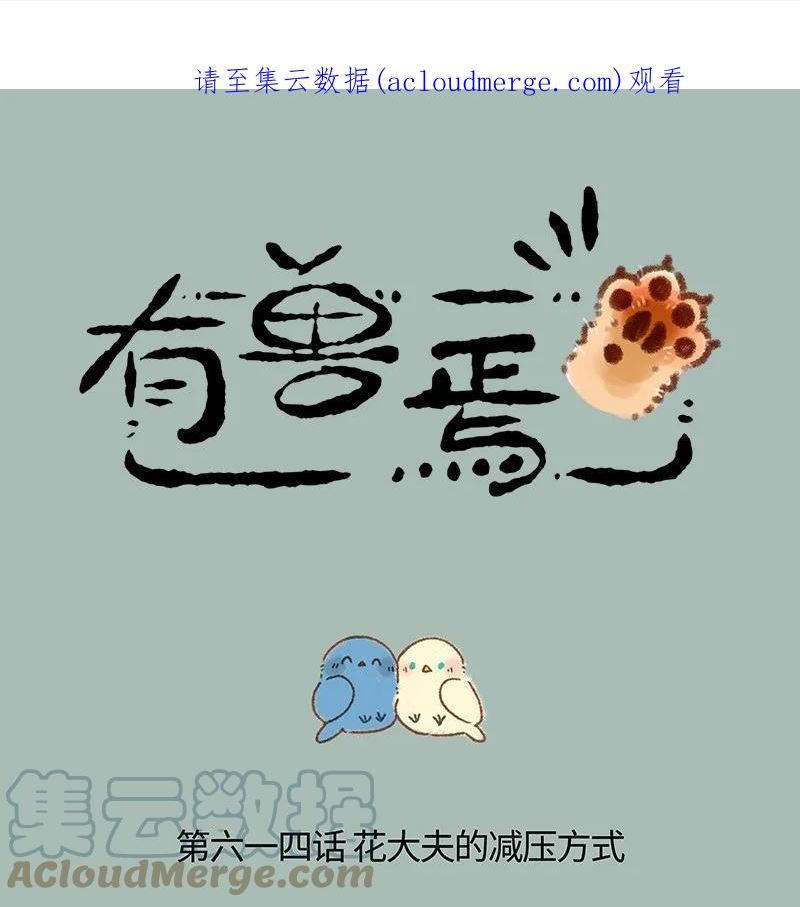 614 花大夫的减压秘诀0
