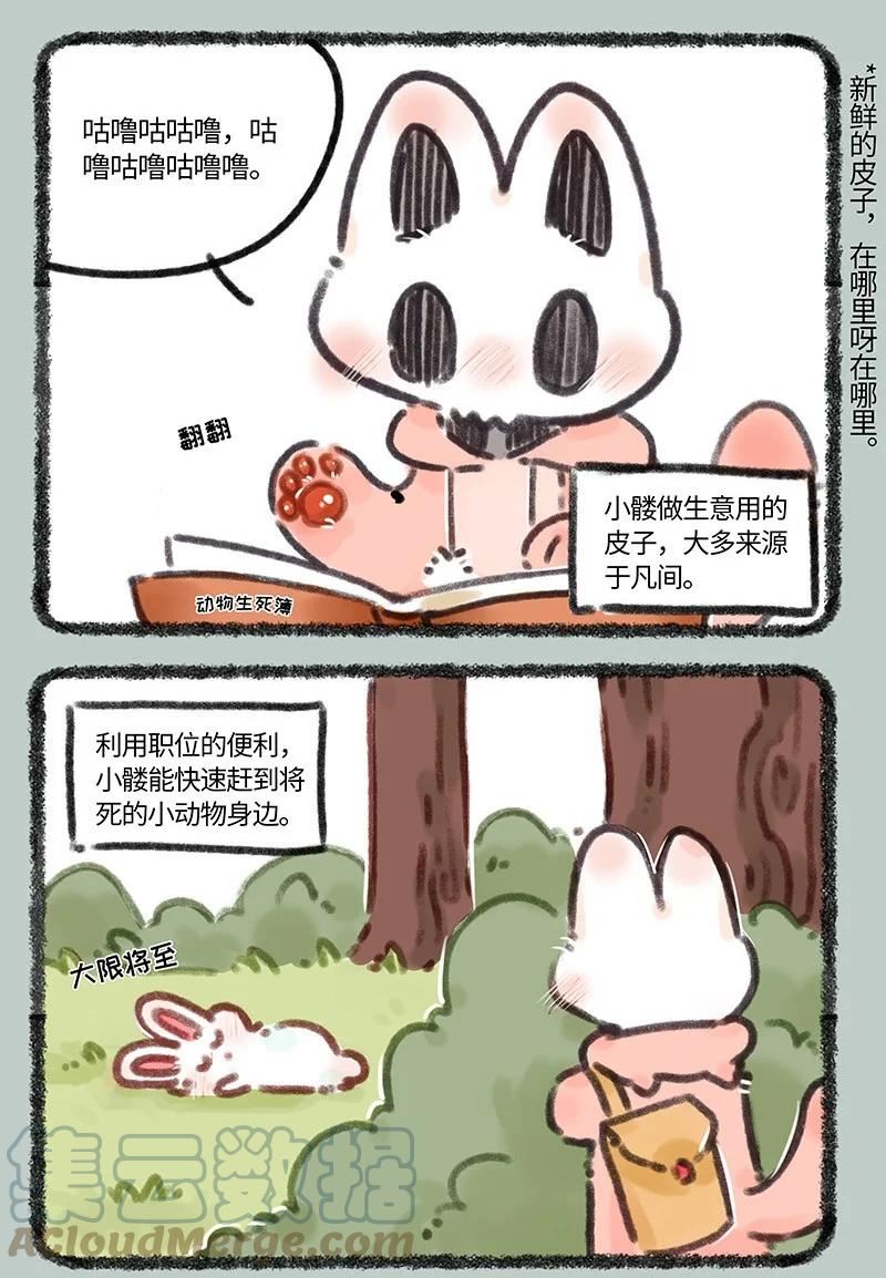 673 小髅进货1
