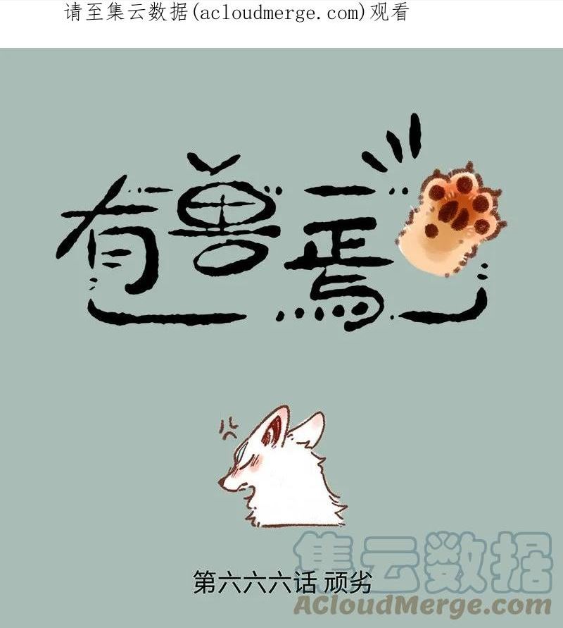 666 自作自受猫猫泪0