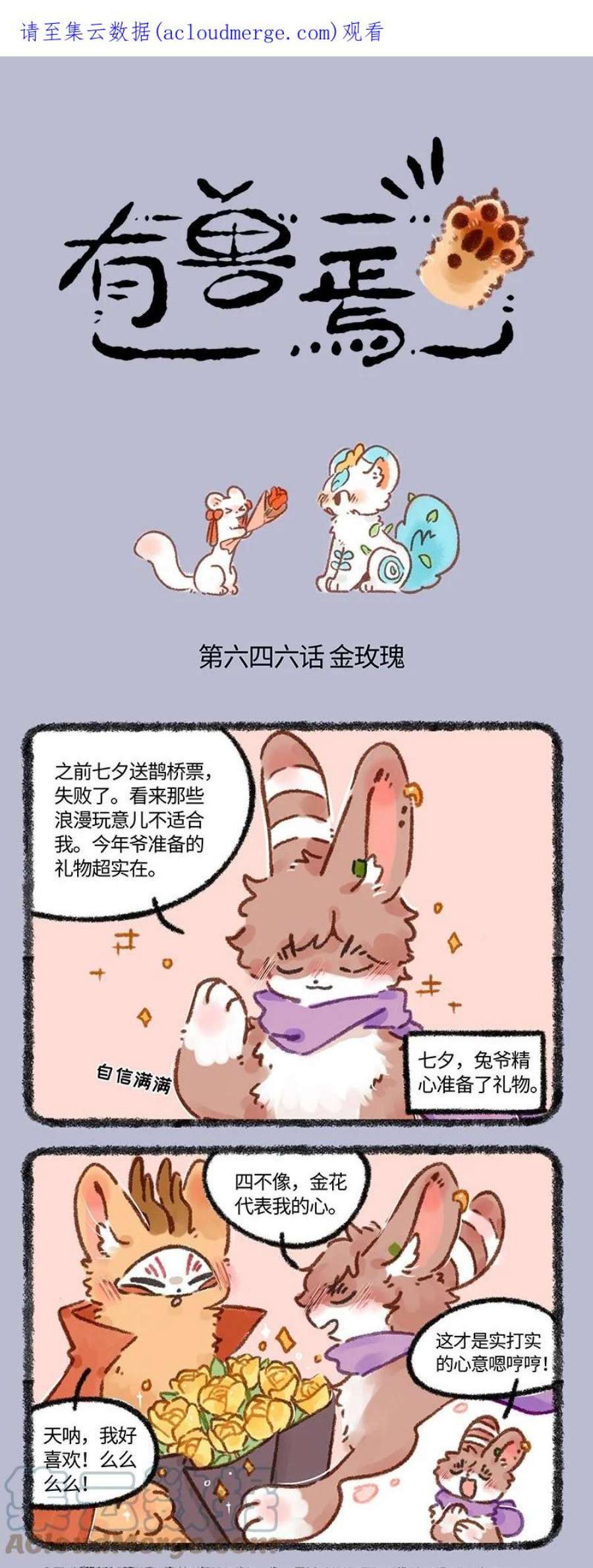 646 七夕玫瑰0