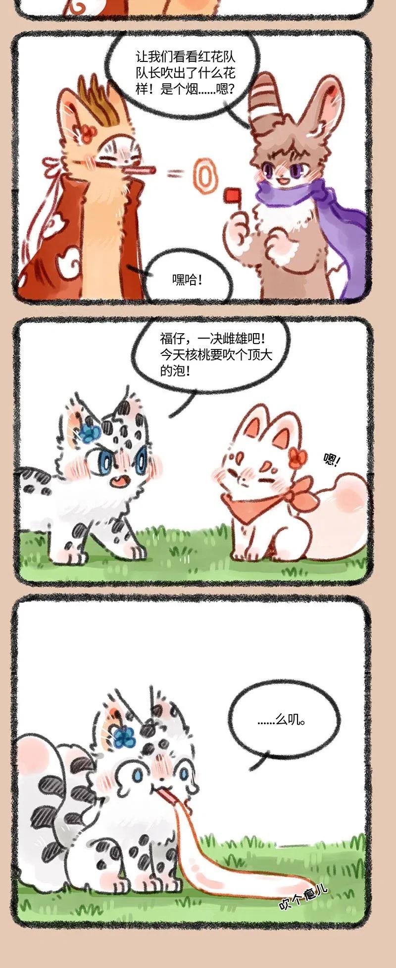 337 泡泡比赛1