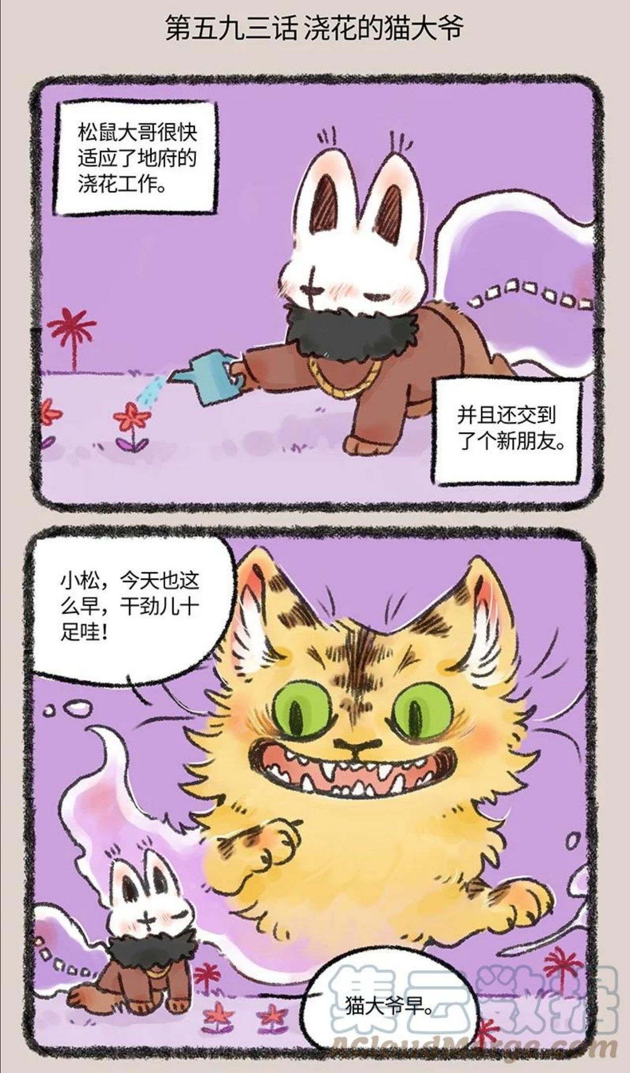 593 浇花的猫大爷1