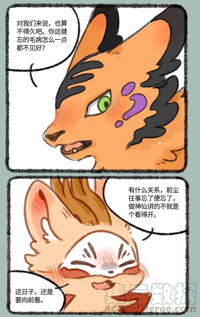 326 向前看4