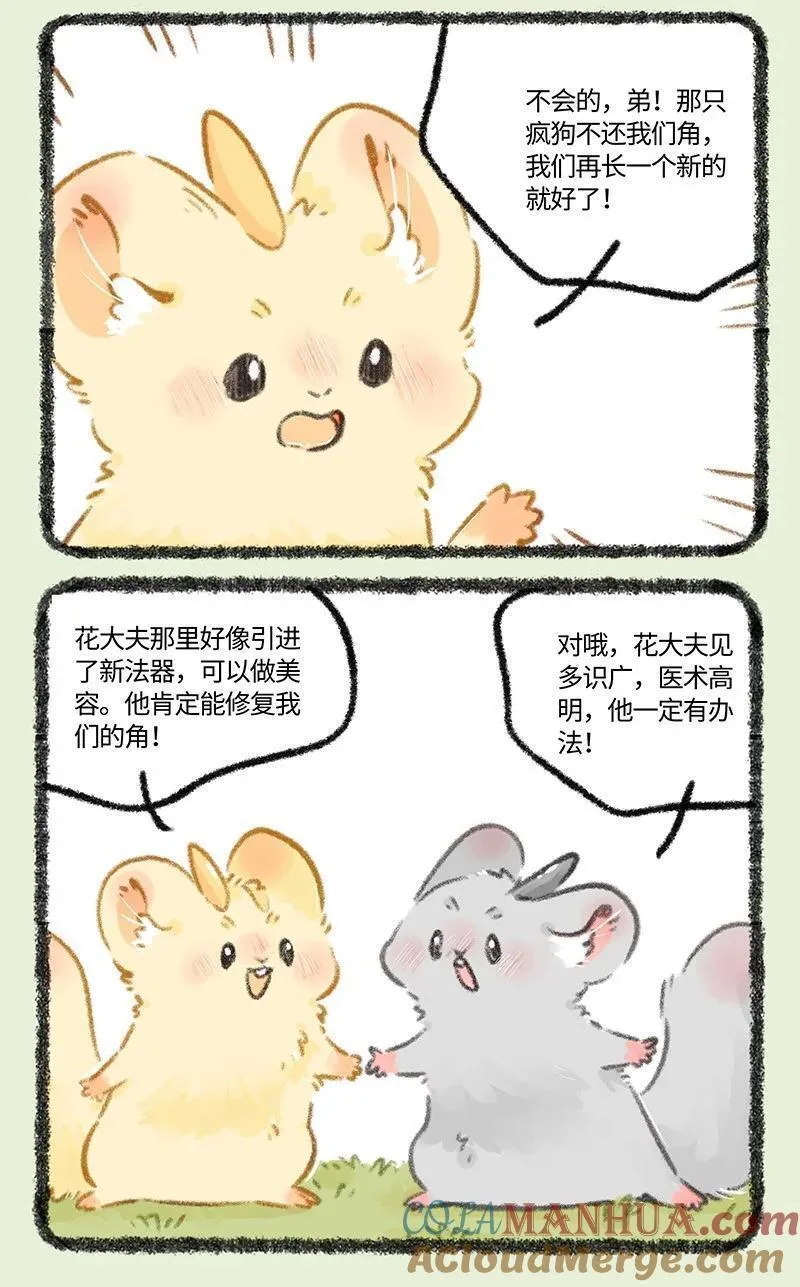 804 金角银角的自救1