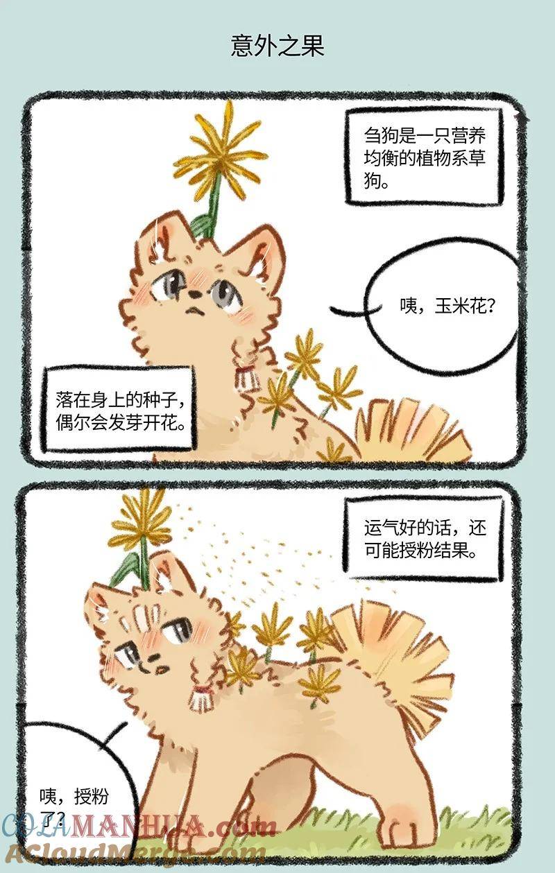 795 刍狗新时尚3