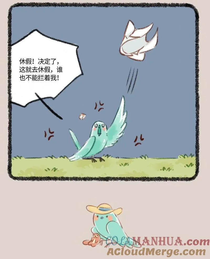 805 花蕊鸟的伪装2