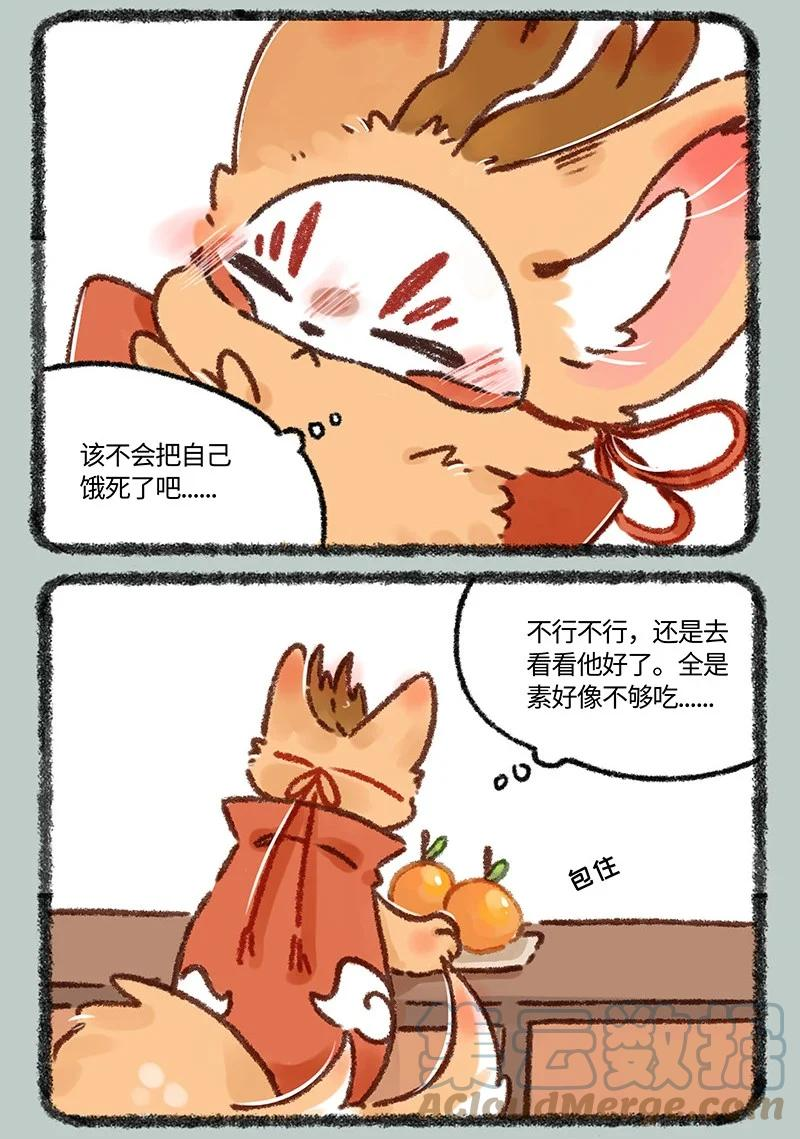 607 投喂猫猫类1