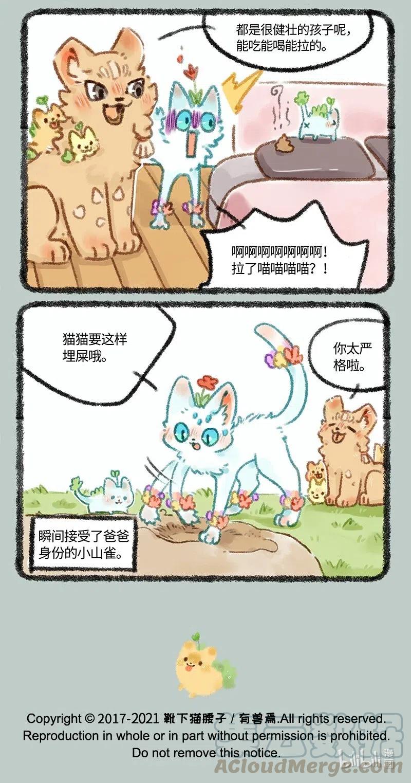 478 小山雀喜当爹4
