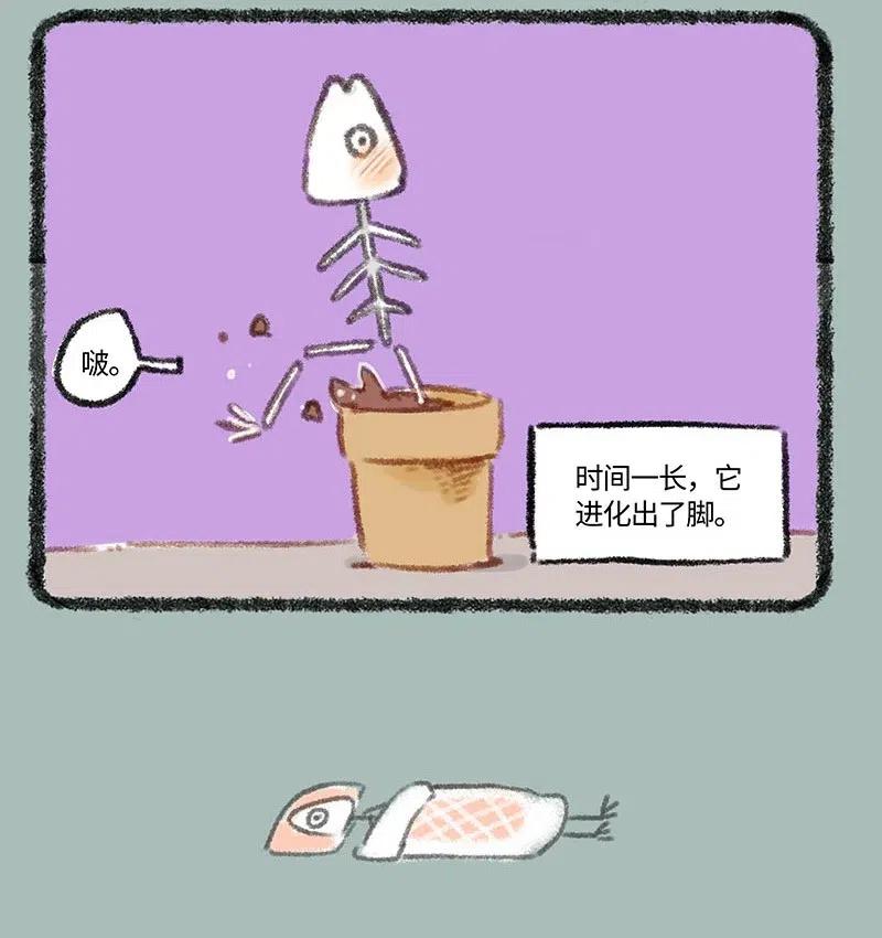 268 骷髅鱼进化3
