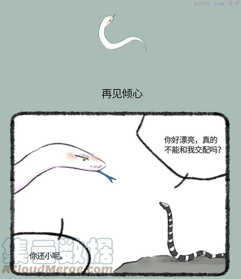 534 永州异蛇3