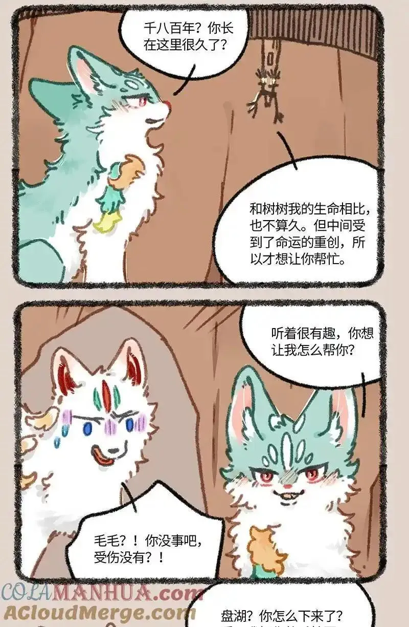 849 坠崖奇遇4