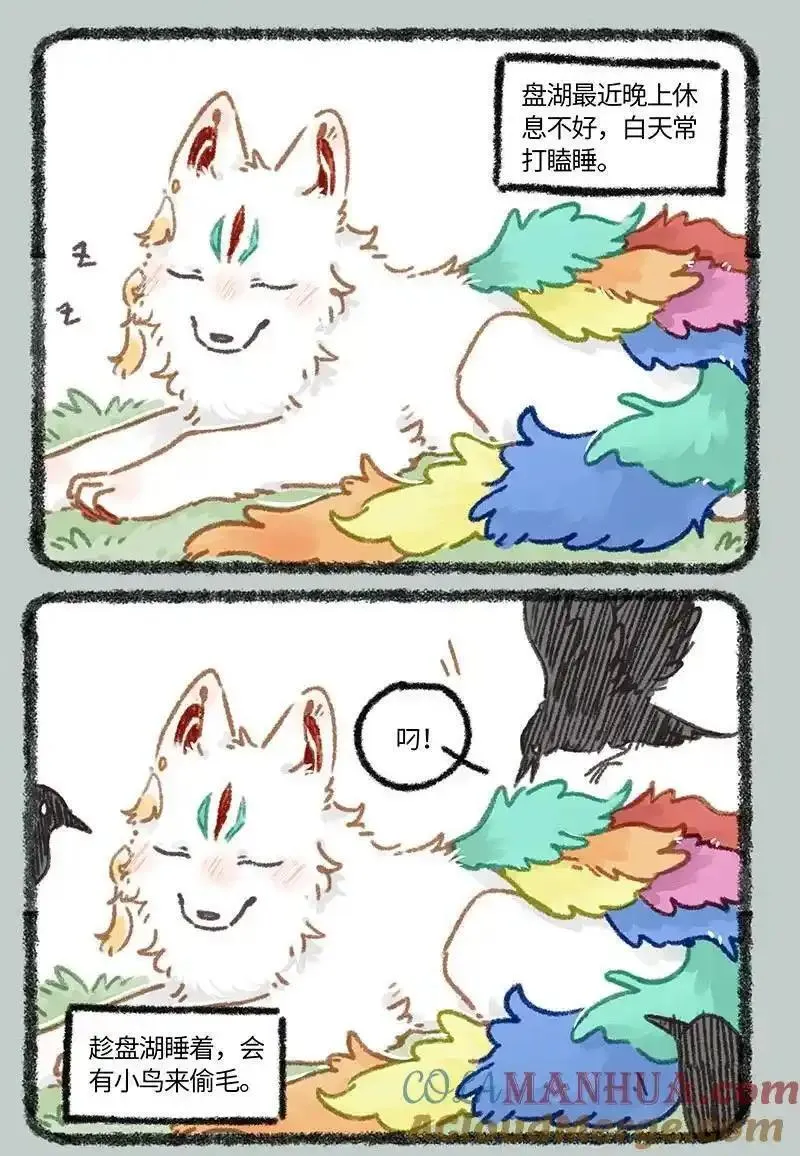 847 猫的奉献1