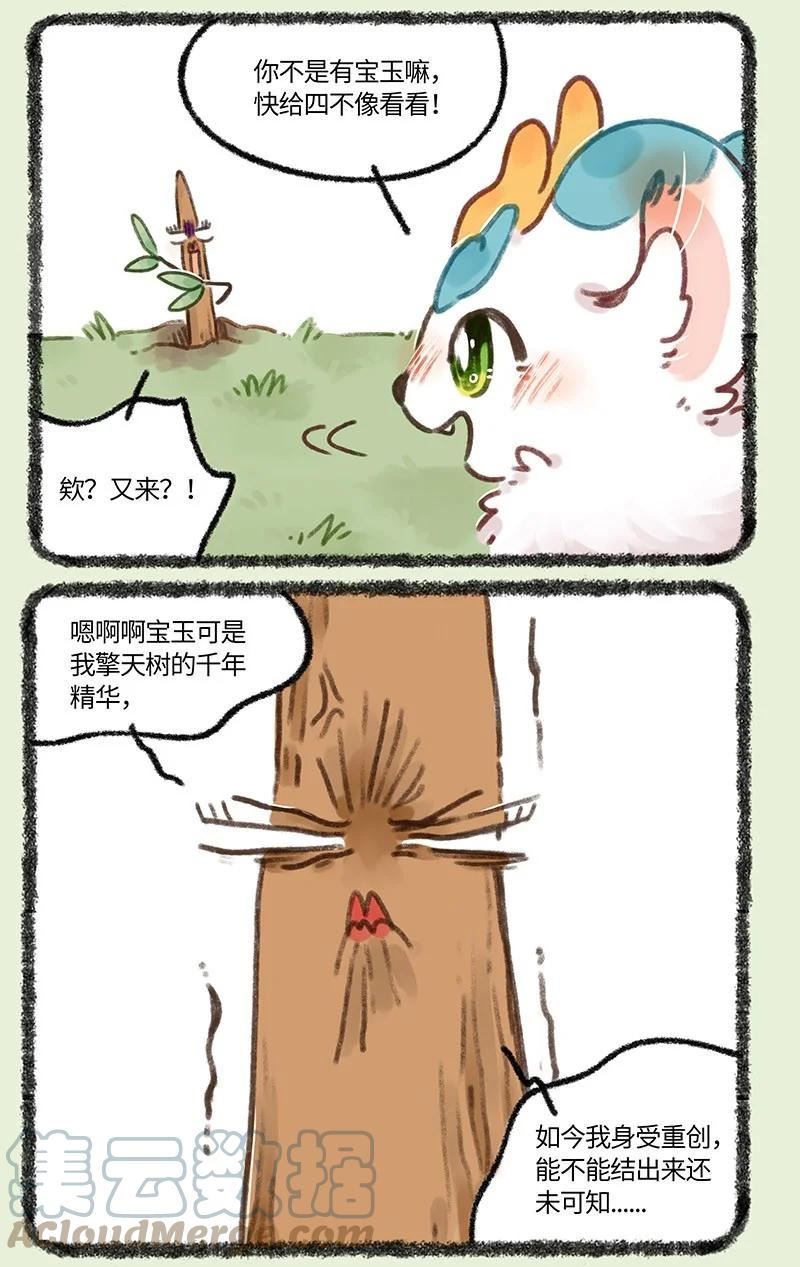 681 后院居住权4