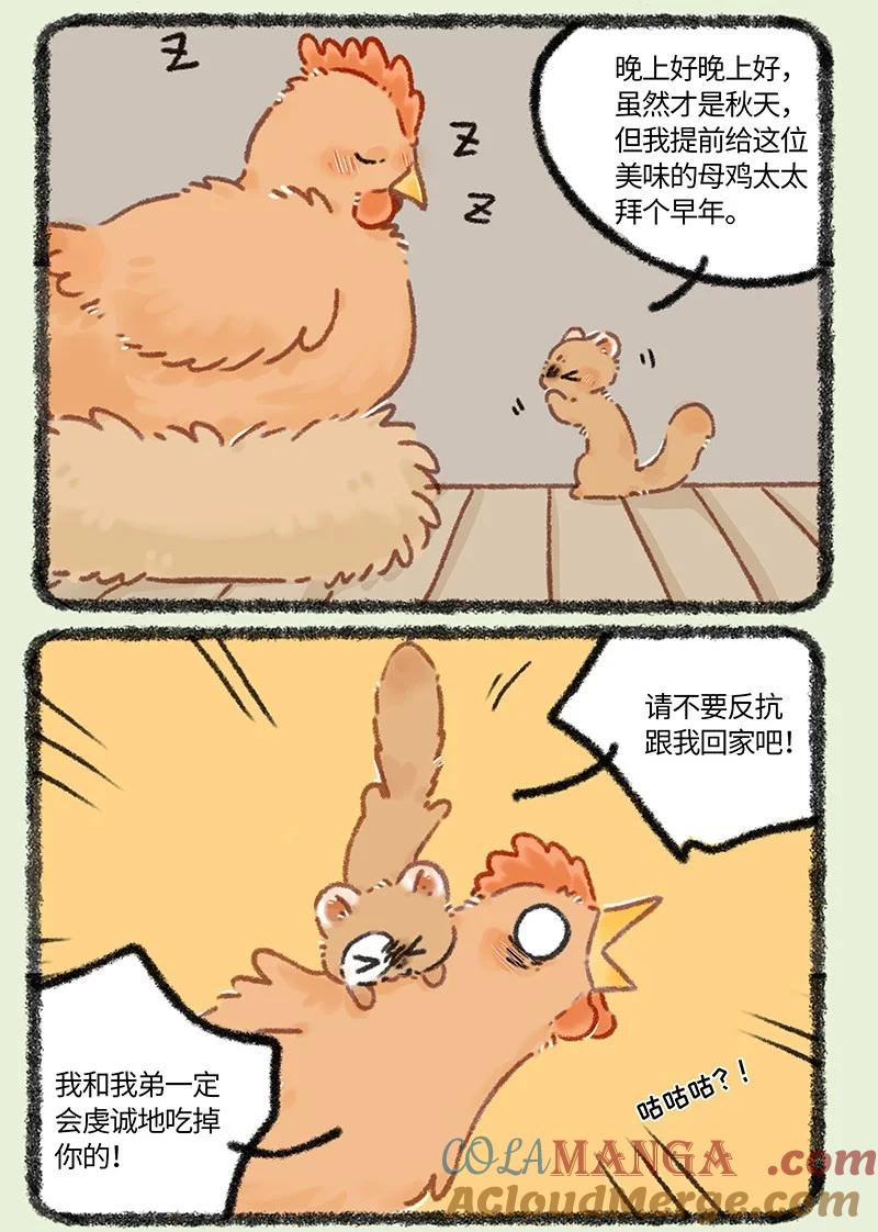 956 五弟，生日快乐2
