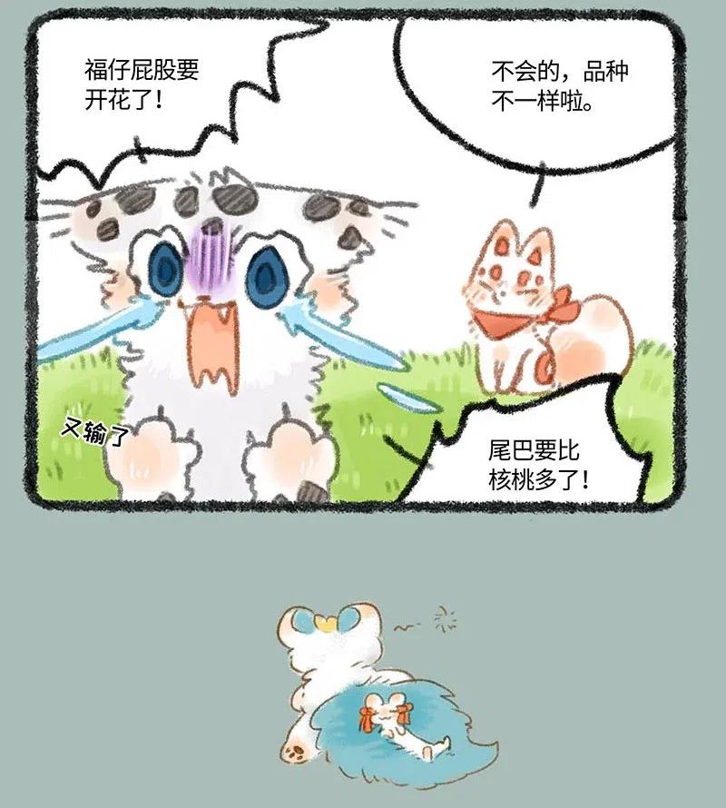 253 尾巴的功能3