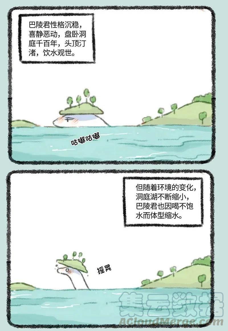 313 巴陵君4