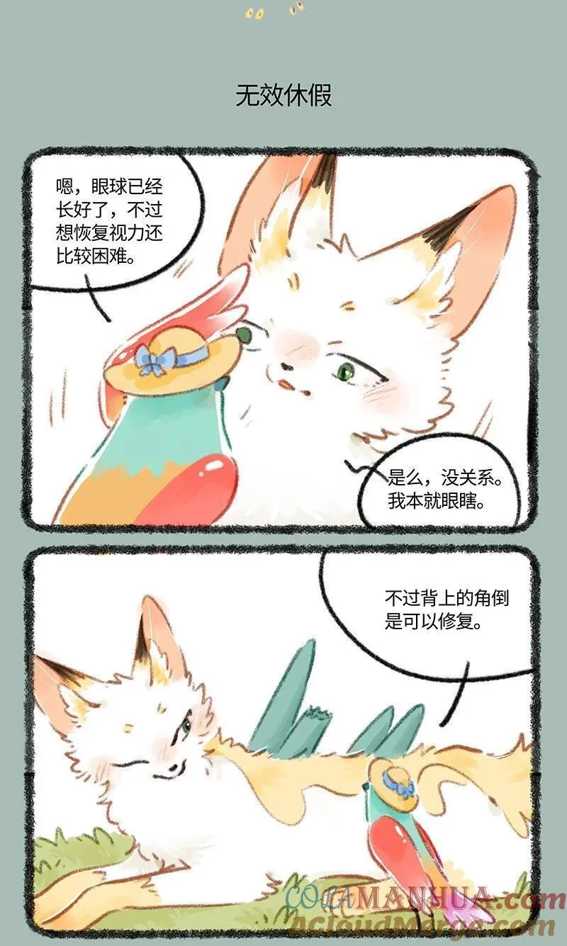 806 治愈花椒4