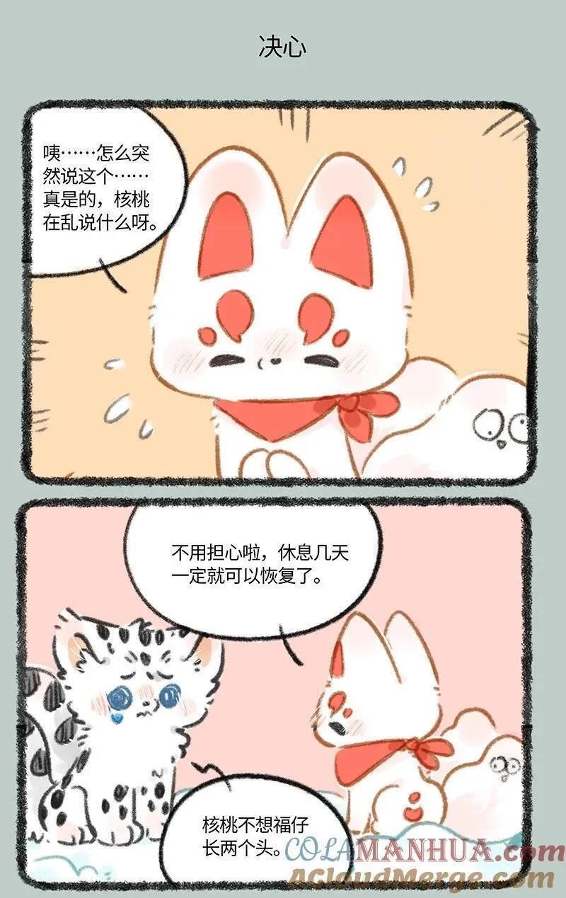 816 核桃的决心3