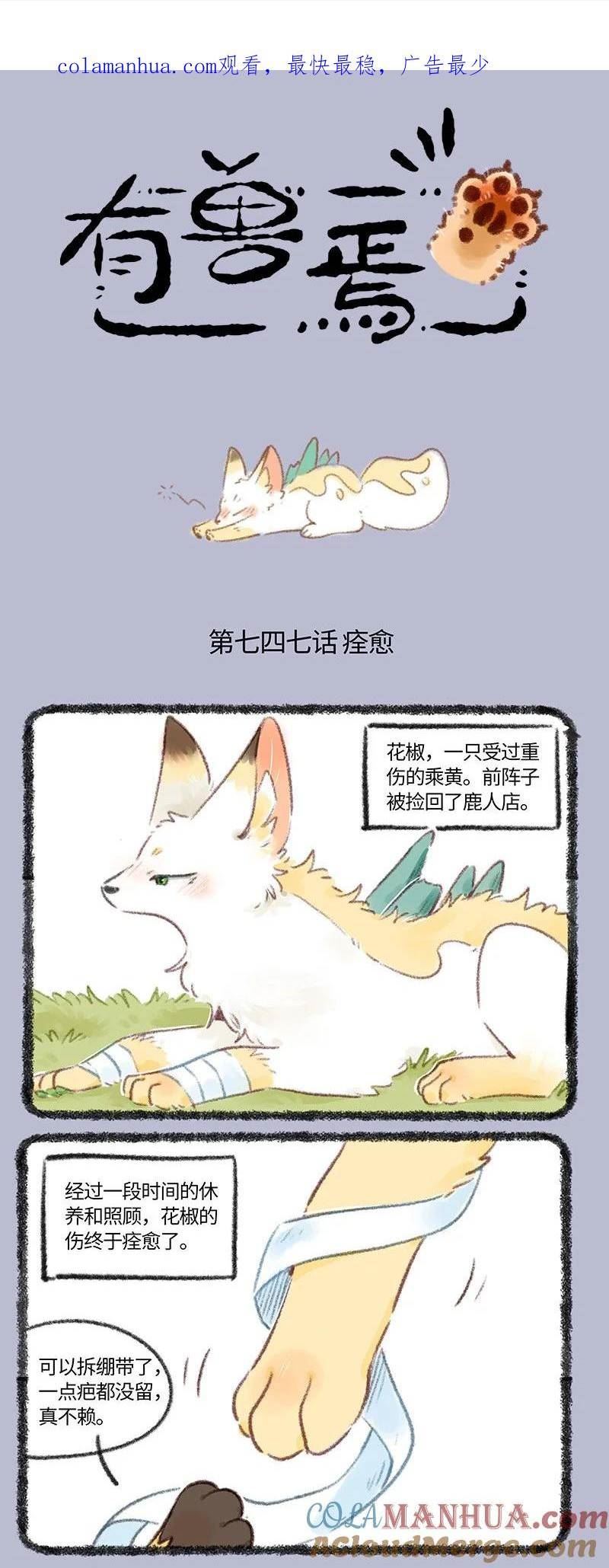 747 花椒痊愈了0