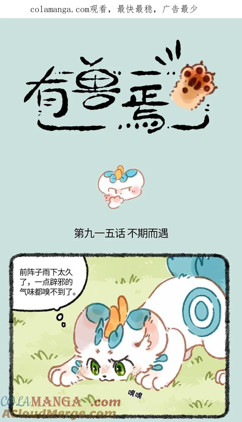 915 红貔貅0