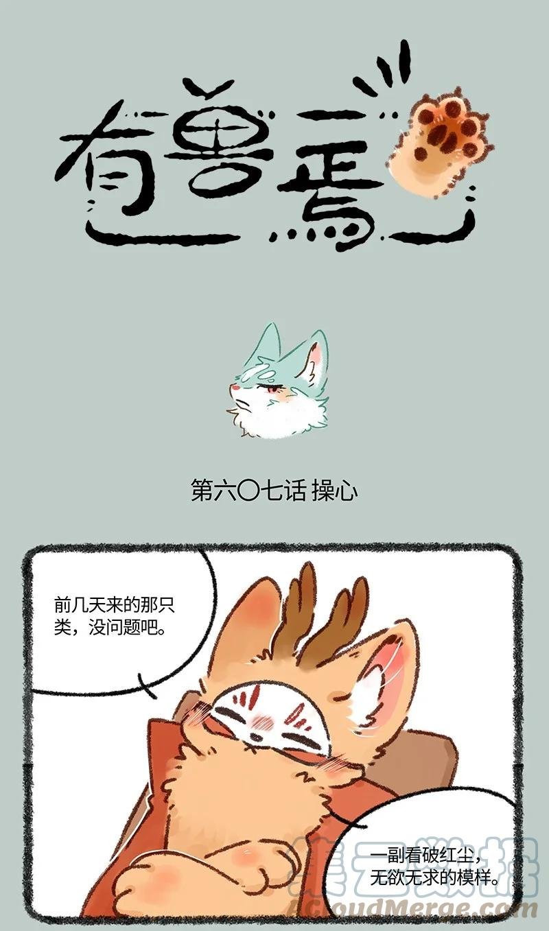 607 投喂猫猫类0