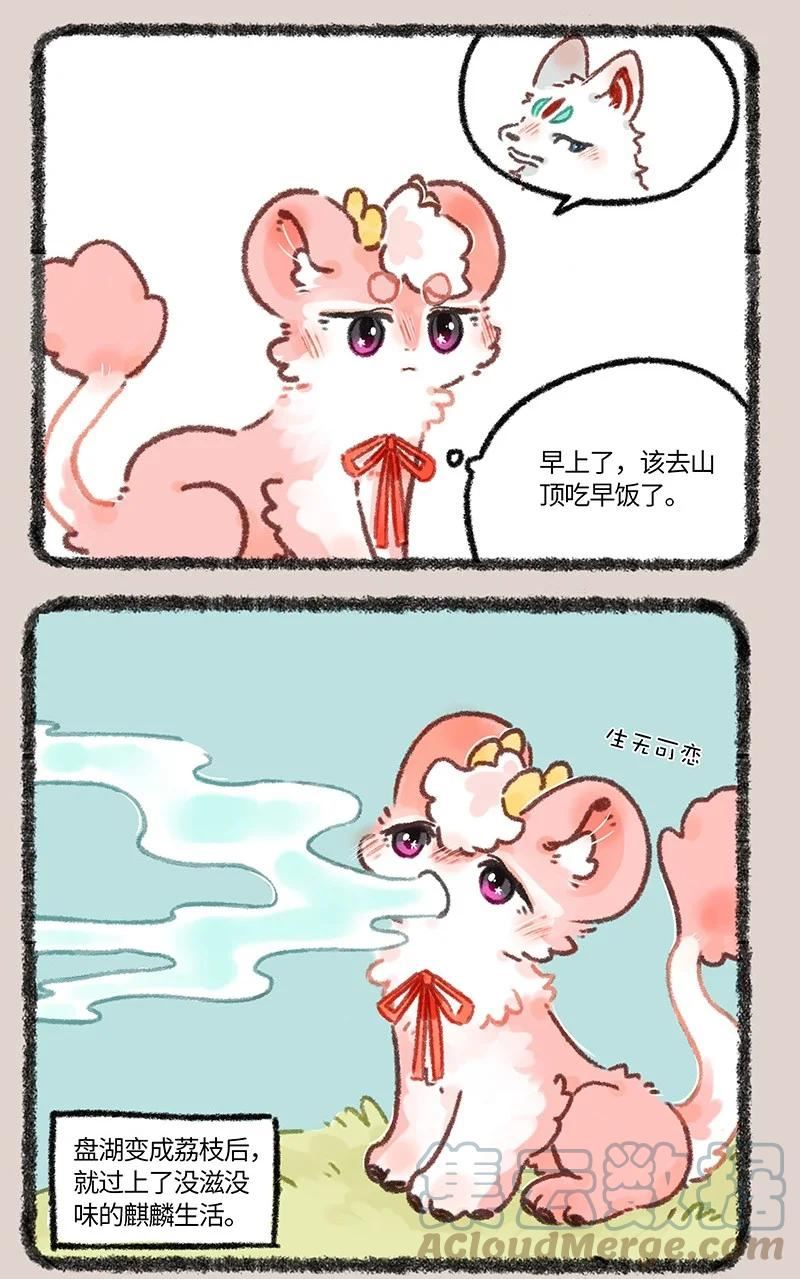 651 壮壮的怒火1