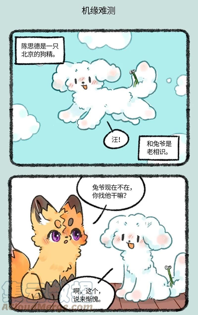663 兔爷的贵狗4