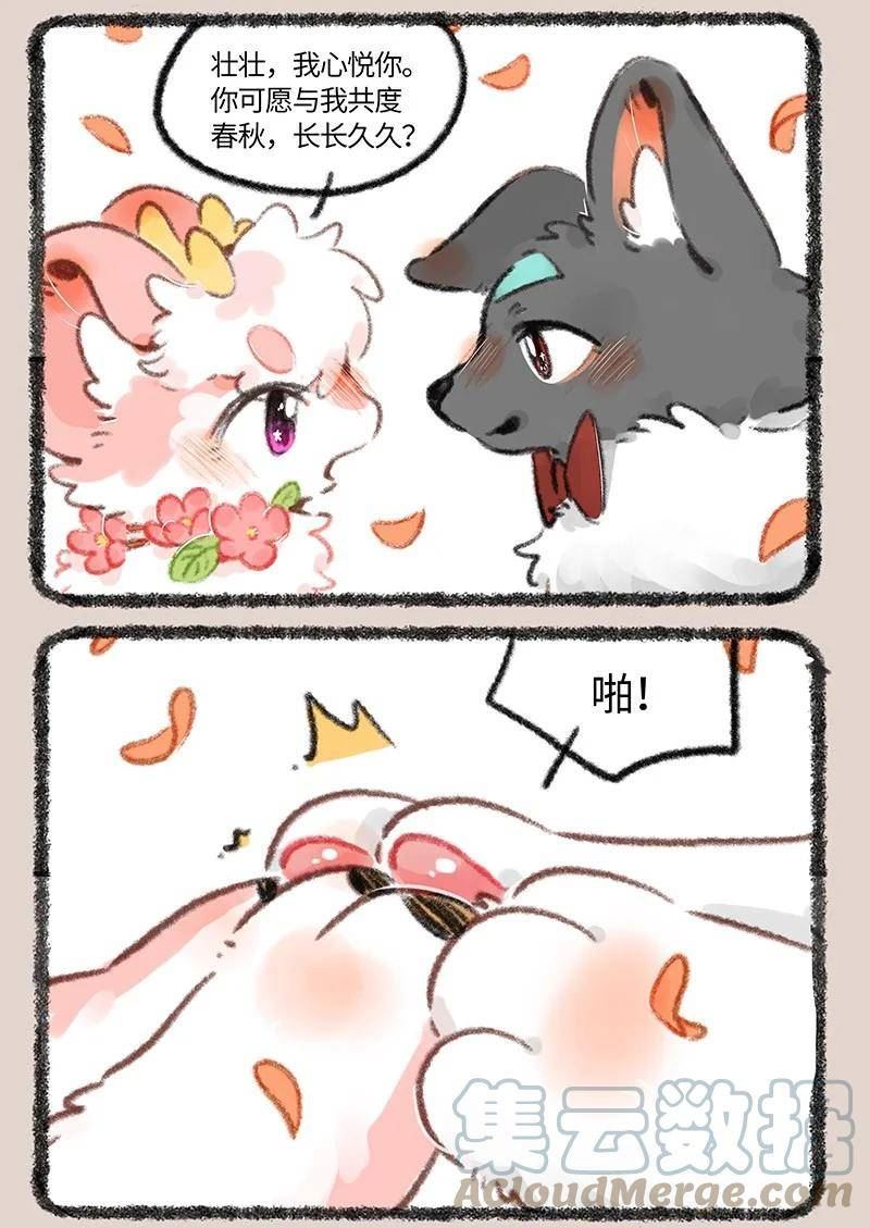 706 盛大的婚礼3