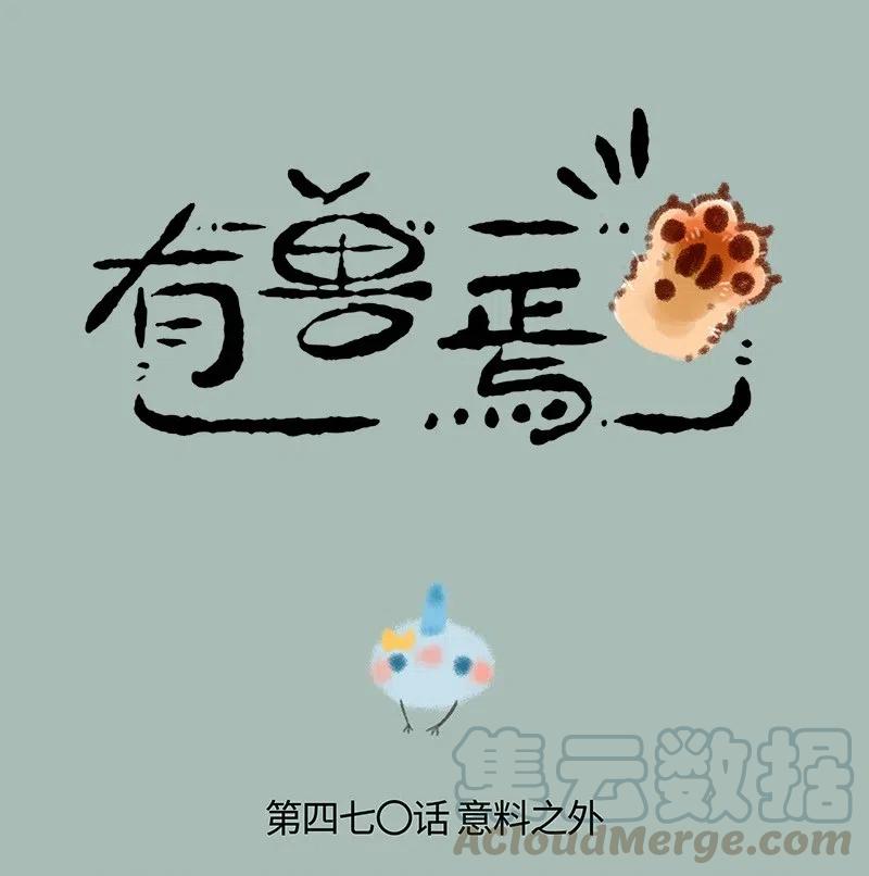 470 躁动的小树林0