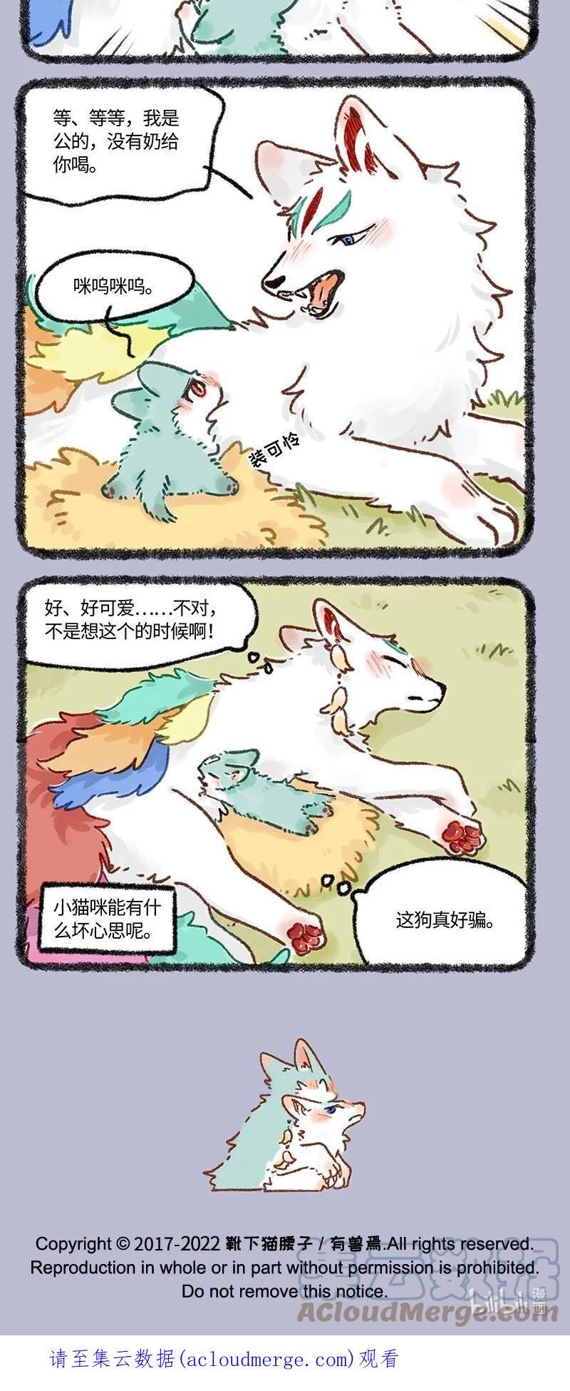 622 猫猫的骗局3