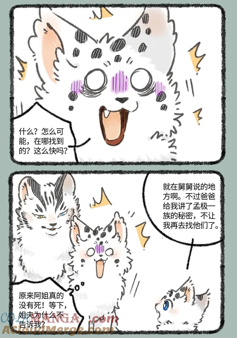 979 孟极篇之一夜的成长4